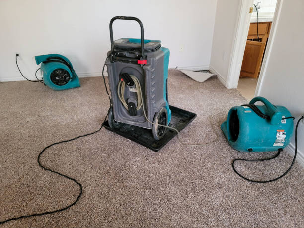 Best Ceiling water damage repair  in Sonora, CA