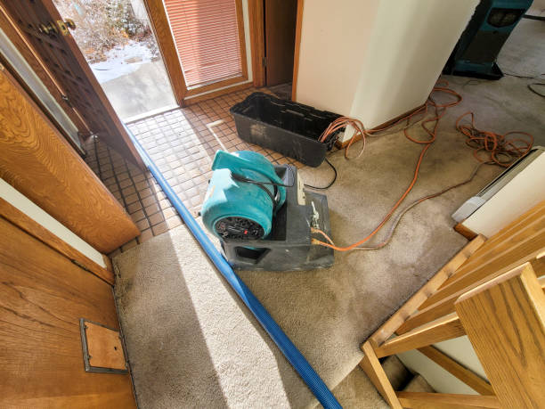 Best 24-hour water damage restoration  in Sonora, CA