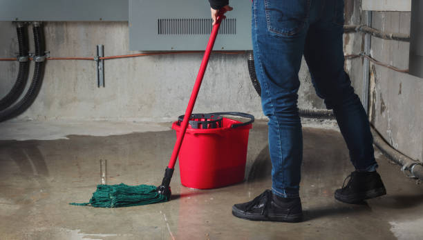 Best Basement water damage restoration  in Sonora, CA